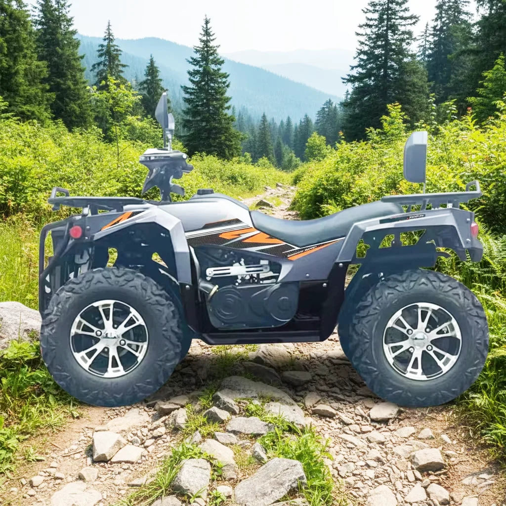 Adult Off-Road Quad Bike Sport ATV 200/300/350/400cc 4x2/4x4 Farm ATV