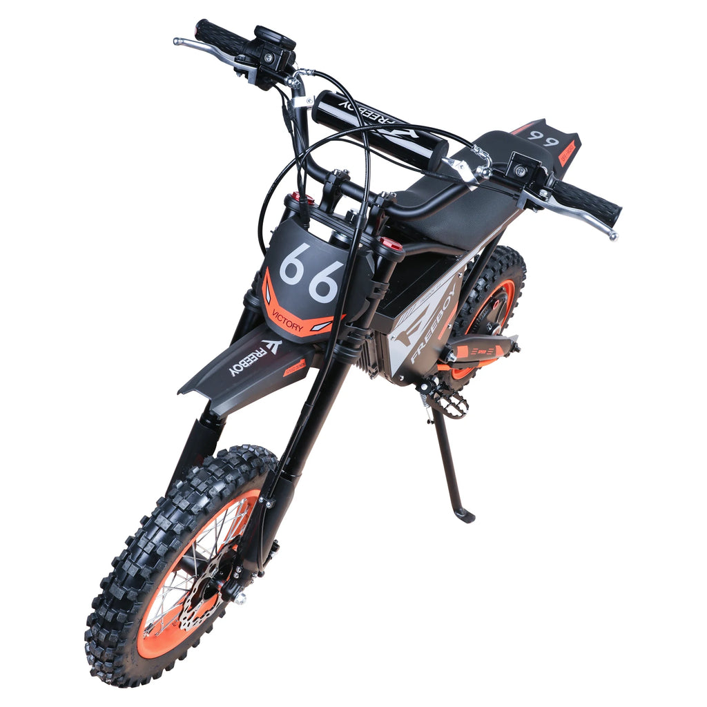 FREEBOY Y66 E-bike 3000W Motor 48V30AH Battery Electric Bike Max Speed: 55KM/H 12/10-In All-terrain Fat Tires Electric Bicycle