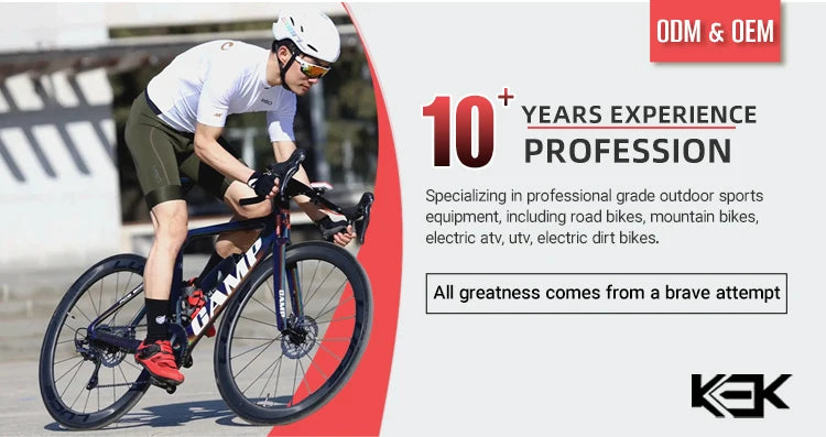 Hot Selling CYCTRAC Electric Bicycle Carbon Fiber Frame Electric Bike 29 Inch Electric Mountain Bike With Full Suspension