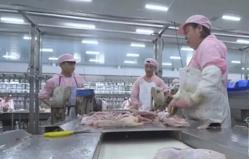 Custom 1000-2500 CE Approved Chicken Duck Poultry Slaughtering Production Line Halal Slaughter House Machine