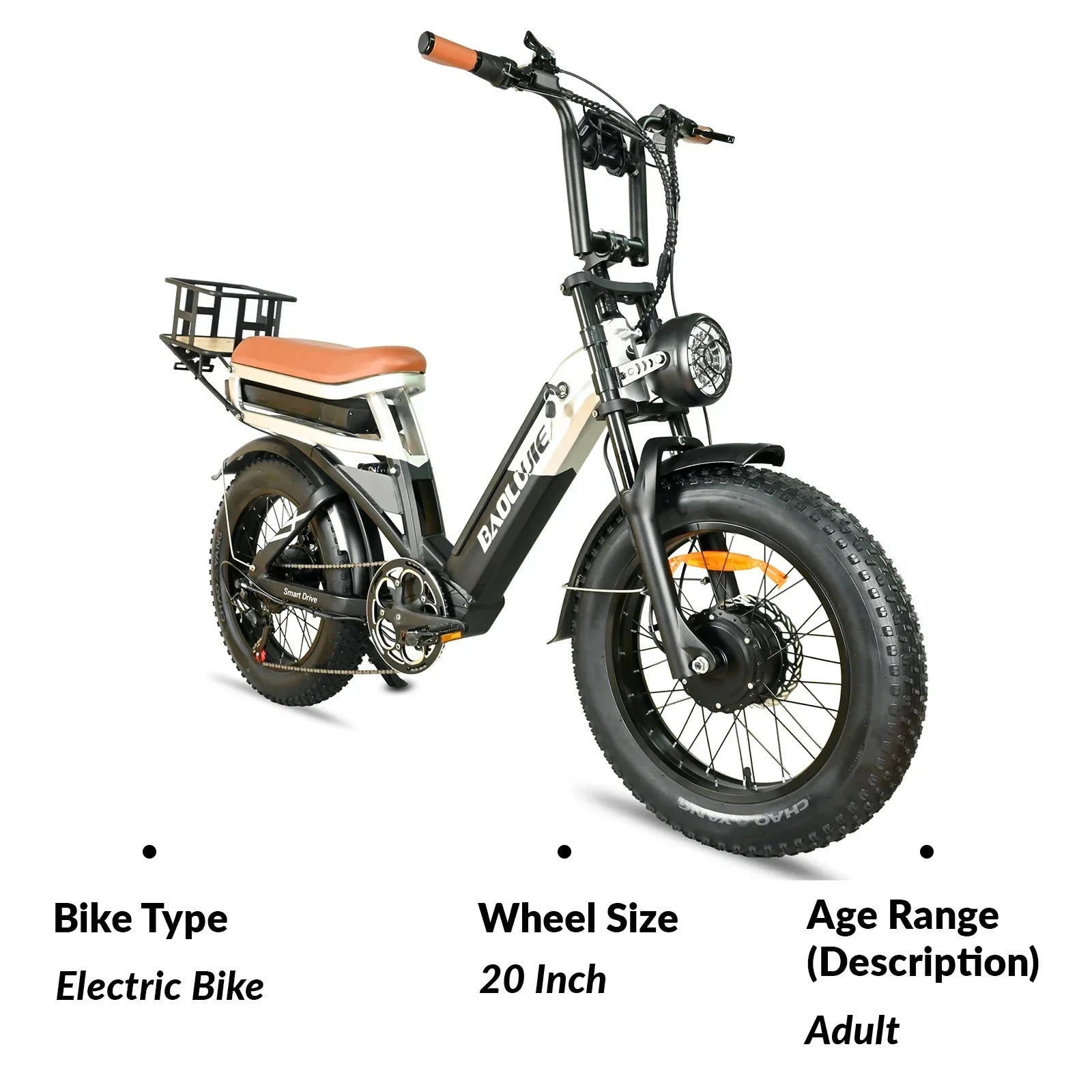 Baolujie DP2033 Electric Bicycle 2000W Dual Motor 48V30AH Lithium Battery E-bike 20*4 Inch Fat Tire Mountain Cargo Electric Bike