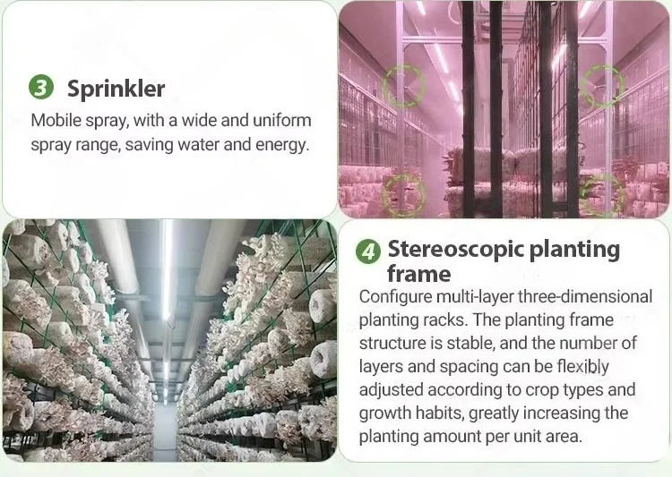 Customized 20ft 40ft Container Farm, Hydroponic Growing System Agricultural Greenhouse for Mushroom Production