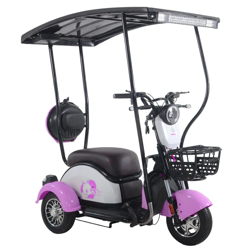 China Hot Selling 3 Wheel Scooter Adult Electric Motorcycle for Sale 3 Wheel Solar Tricycle With Roof