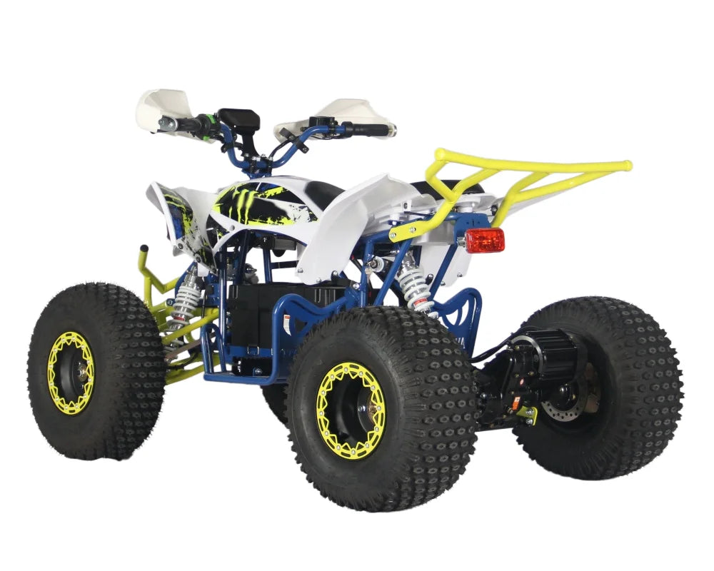 Factory Direct Sale High Cost-Effectiveness Electric ATV Can Choose 48V60V with Ce Certification