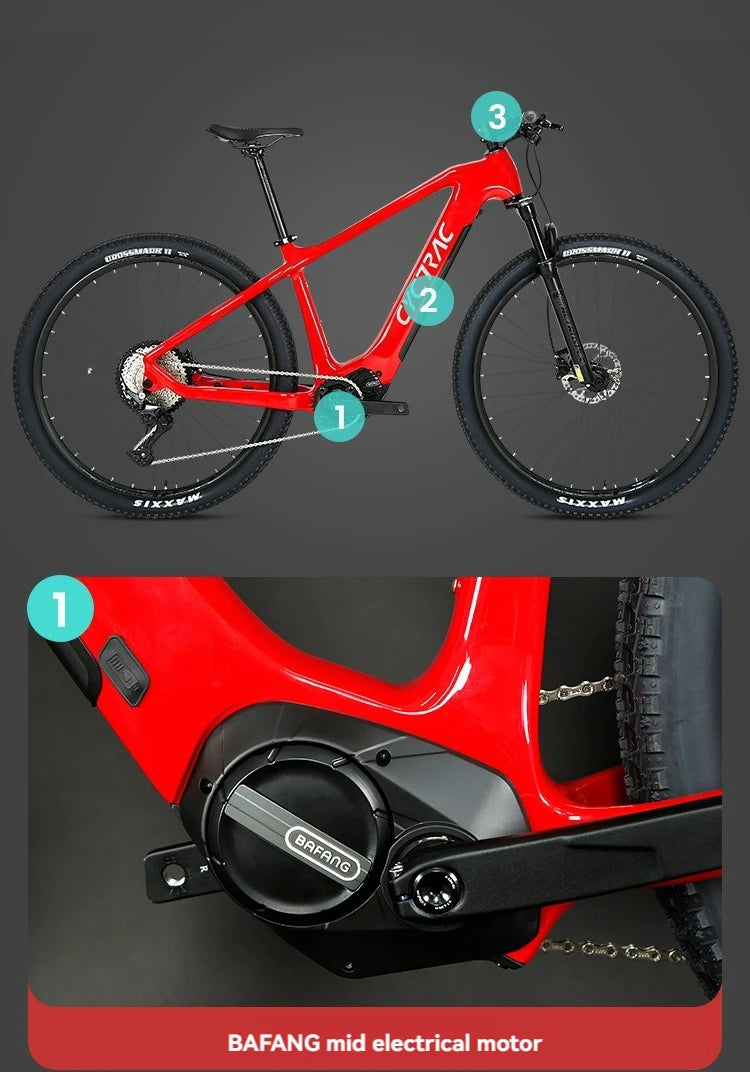 Top Quality Carbon Electric Bike Bafang M510 Mid Motor 250W Mountain Bicycle 29 Inch EMTB With Hidden Battery For Men