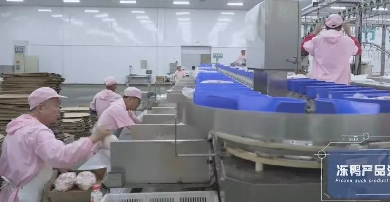 Custom 1000-2500 CE Approved Chicken Duck Poultry Slaughtering Production Line Halal Slaughter House Machine