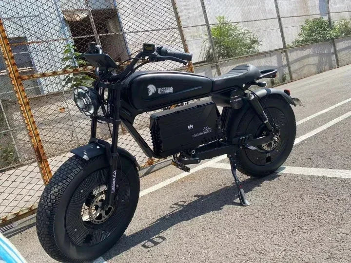 Electric bike himoto 3000W Motor 48V60AH lithium battery adult Off-road Electric Bicycle 20 inch fat tire Hydraulic brake E-bike