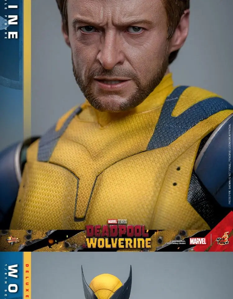 Hottoys Wolverine 1/6 Scale Action Figure MMS754 Deluxe Edition Deadpool And Wolverine Marvel Movie Collectible For Adult Fans