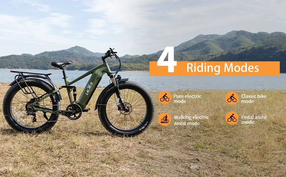 Lacros Thunder adult E-bike，750W city ebike，48V20AH Electric Bicycle，26 Fat Tire E-Mountain bike
