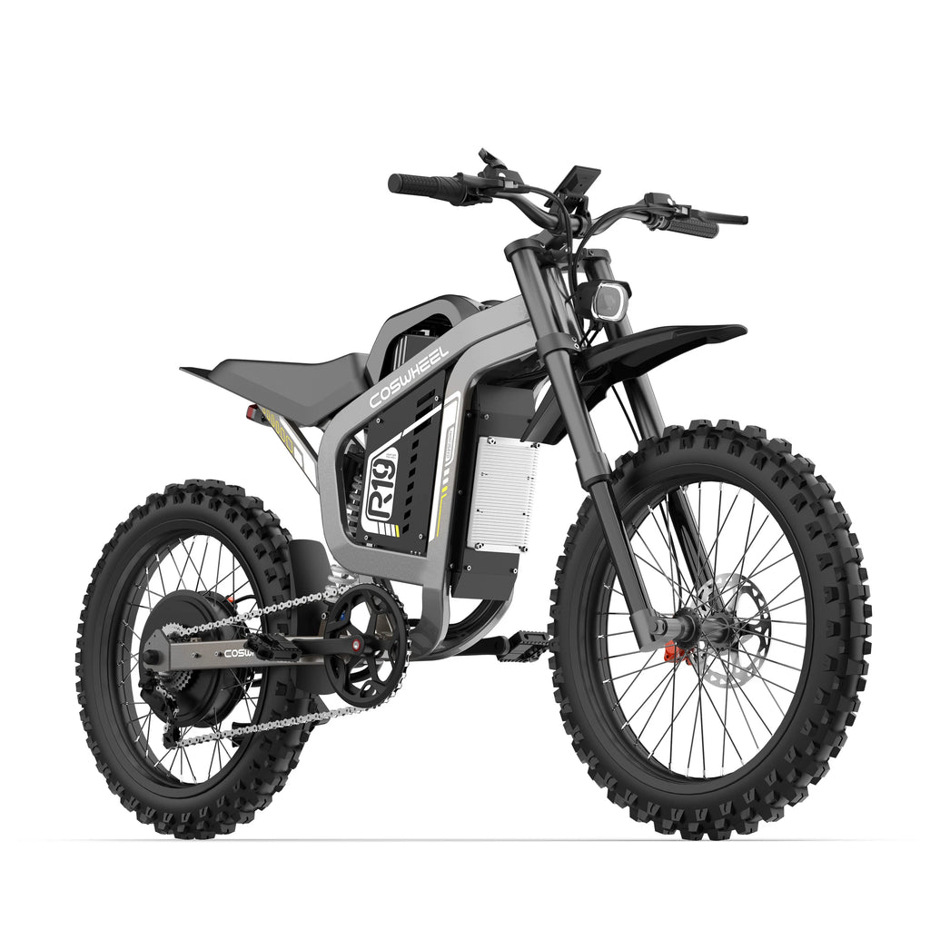 Coswheel R19 adult E-bike 3000W Motor 72V 40Ah battery commute Electric Bike,19-inch Tire E-Mountain bike