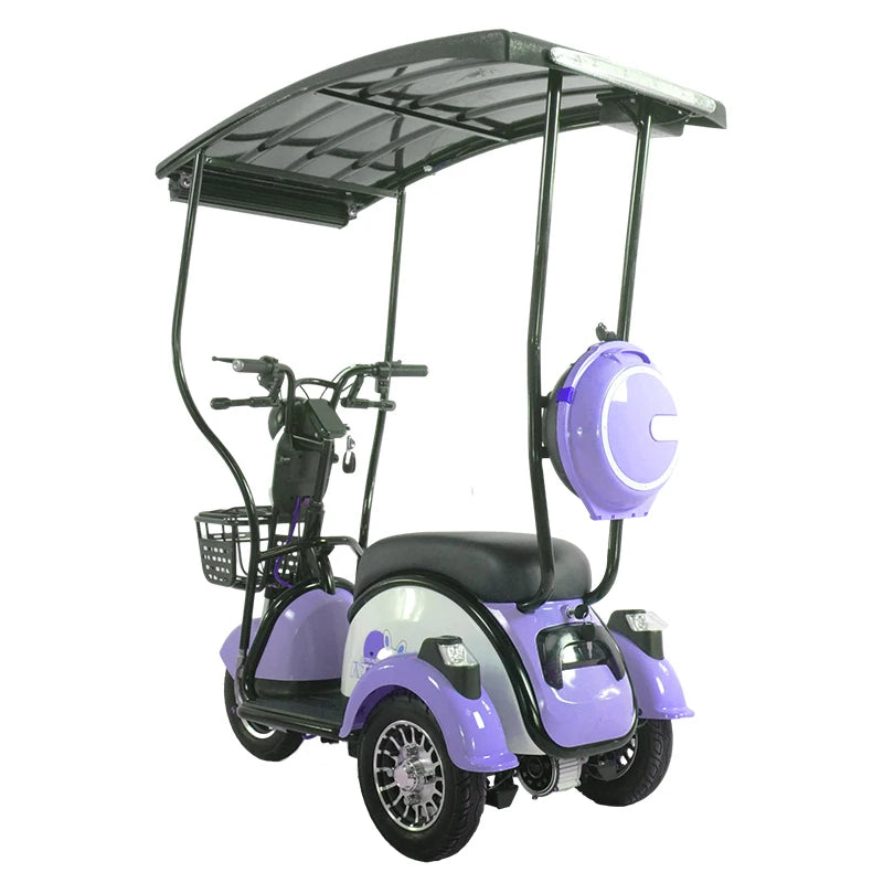 China Hot Selling 3 Wheel Scooter Adult Electric Motorcycle for Sale 3 Wheel Solar Tricycle With Roof