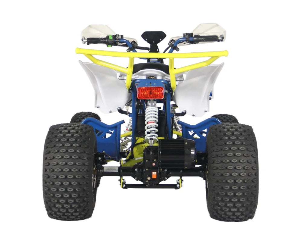 Factory Direct Sale High Cost-Effectiveness Electric ATV Can Choose 48V60V with Ce Certification