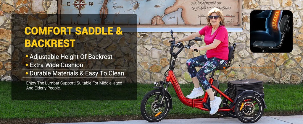 -310 Folding 3Wheel E-bike Electric Trike 750W 20Ah 90MI Adult