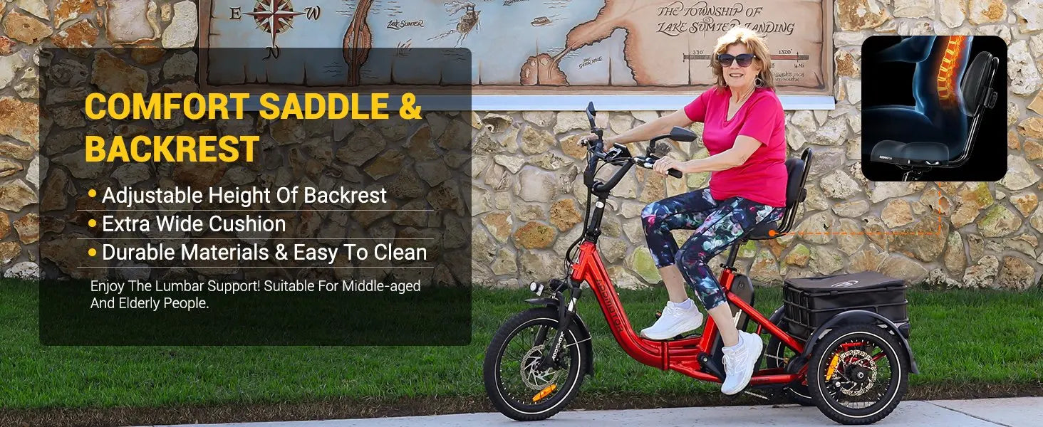 -310 Folding 3Wheel E-bike Electric Trike 750W 20Ah 90MI Adult