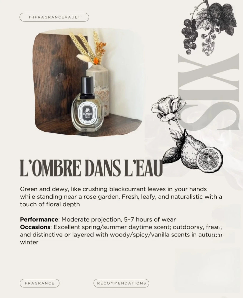 Temptation Perfumes Everyday Essential Mix-Oud-Wood Patchouli Musk Appealing Fragrance Cologne Men Fragrant Genuine Men Cologne