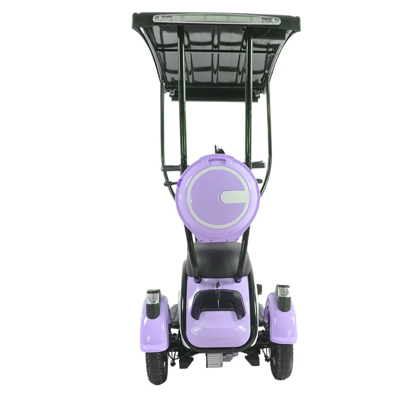 China Hot Selling 3 Wheel Scooter Adult Electric Motorcycle for Sale 3 Wheel Solar Tricycle With Roof
