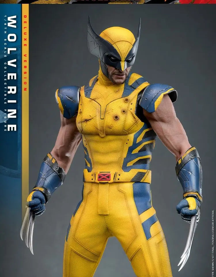 Hot Toys Mms754 Mms753 Wolverine 1/6 Scale Sci Fi Movie Collectible Articulated Action Figure 30cm Desktop Ornament In Stock