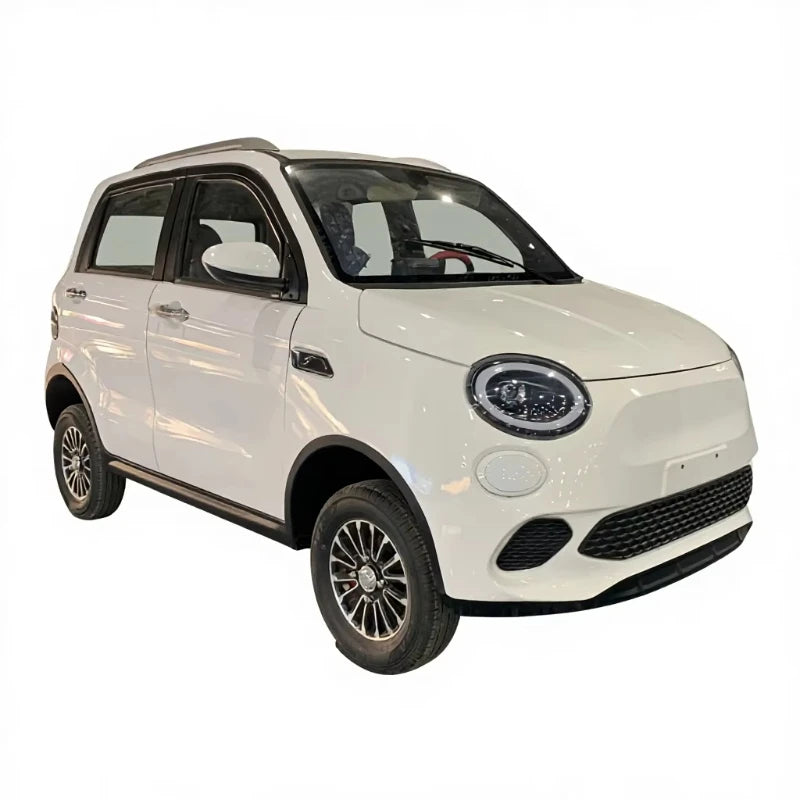 Electric four-wheeled elderly car Fully enclosed car Dual fuel scooter 3kW motor Comfortable sightseeing car