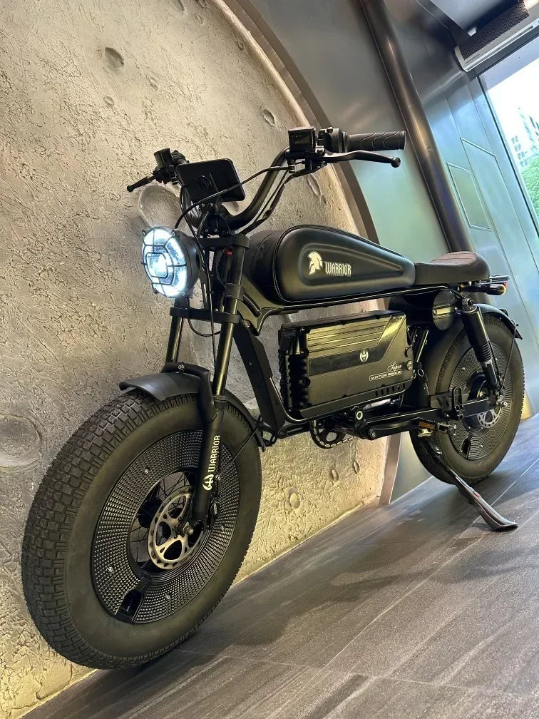 Electric bike himoto 3000W Motor 48V60AH lithium battery adult Off-road Electric Bicycle 20 inch fat tire Hydraulic brake E-bike