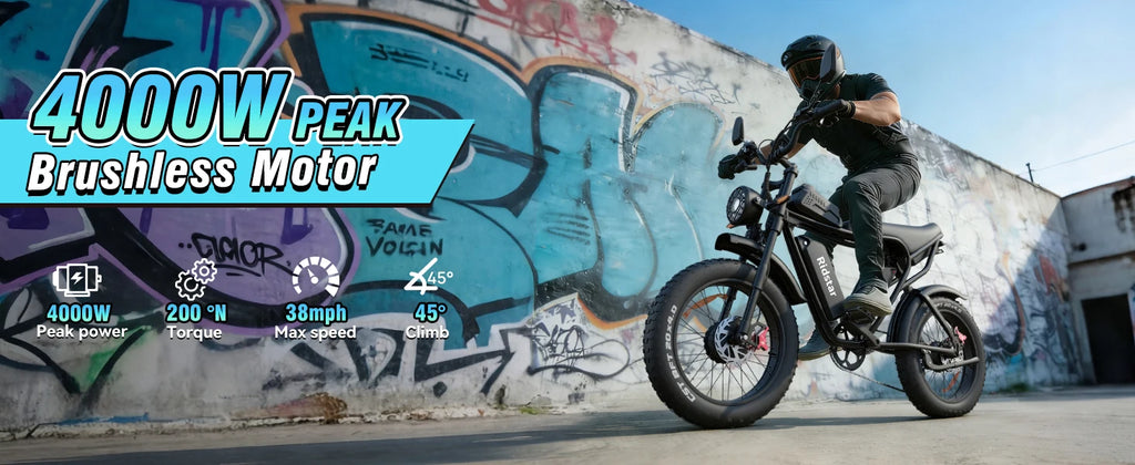 RIDSTAR PRO30 4000W Electric Bike for Adults 33MPH 48V 40AH 20x4" Fat Tire Dirt Bike Shimano 7-Speed E-Bike Commuter Motorcycle