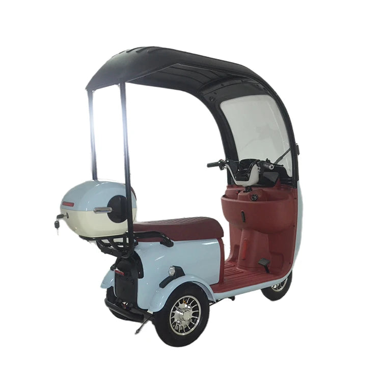 High Quality 2024 Hot Selling Electric Tricycle Scooter Electric Bike High Power Lady Electric Scooter with Roof