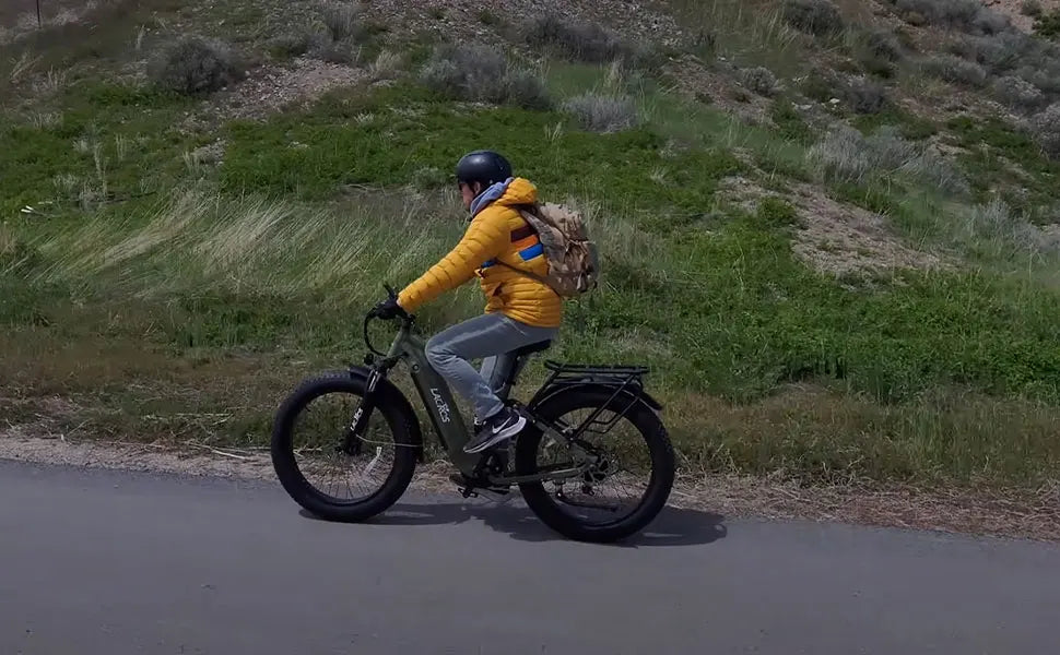 Lacros Thunder adult E-bike，750W city ebike，48V20AH Electric Bicycle，26 Fat Tire E-Mountain bike