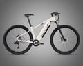 TWITTER E300 27.5/29in 48V500W13A resistive force bike 624Wh mountain e-bike with power-off hydraulic brakes electric bicycle