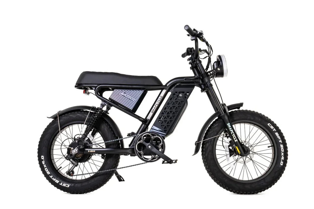 New  20" 750W 48V Electric Bike Mountain Bicycle FatTire E-bike for Adult