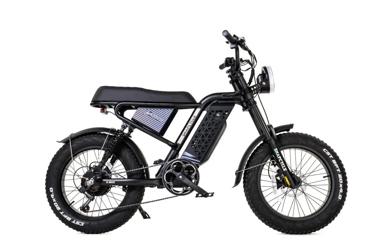 New  20" 750W 48V Electric Bike Mountain Bicycle FatTire E-bike for Adult