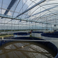 Vege and Aquaculture Integrated Recyclable Greenhouse Aquaculture System