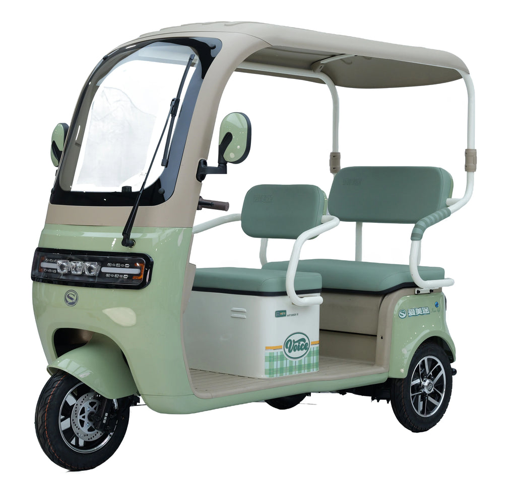 Direct Sale High Quality 3-Wheel Electric Bike for Adults New Tricycle Adult Electric Tricycle Cover Factory Direct From China