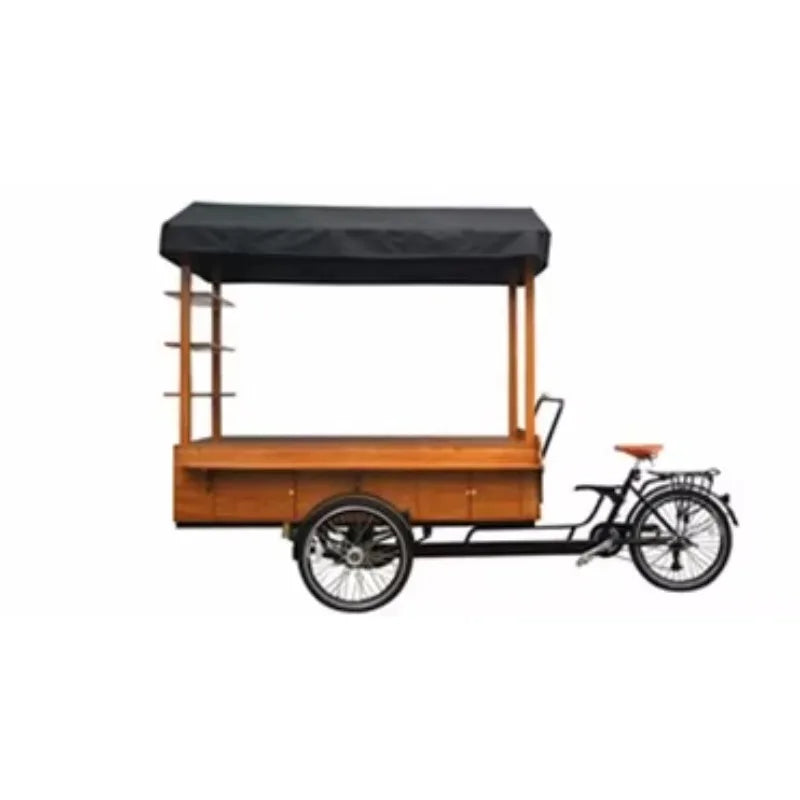 Electric tricycle tricycle pedal assist electric taxi bicycle