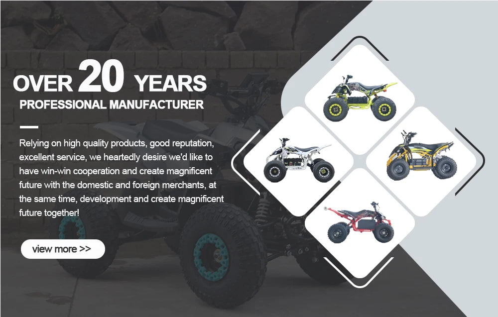 Factory Direct Sale High Cost-Effectiveness Electric ATV Can Choose 48V60V with Ce Certification