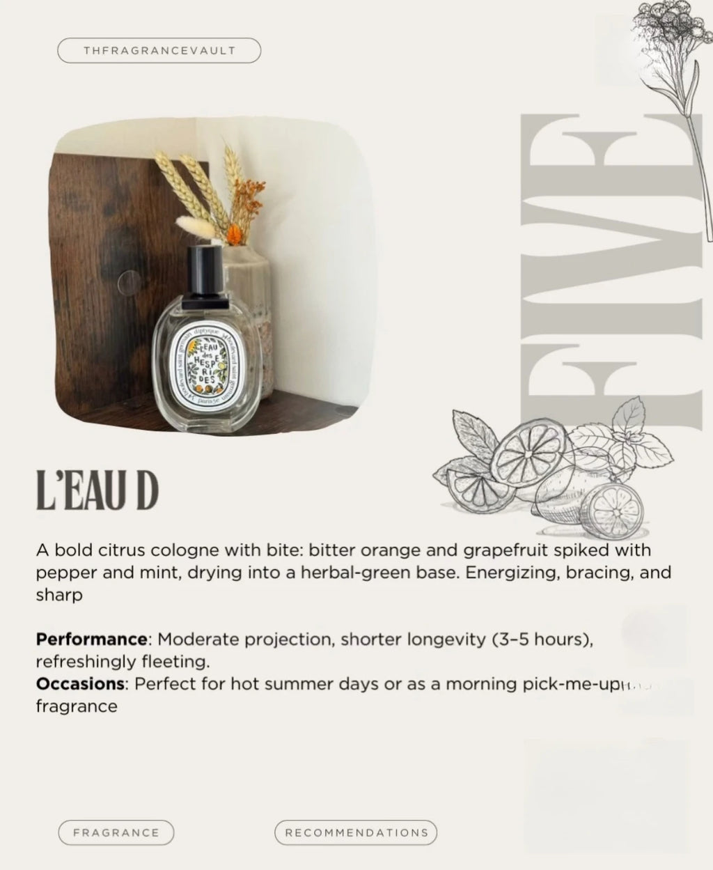 Temptation Perfumes Everyday Essential Mix-Oud-Wood Patchouli Musk Appealing Fragrance Cologne Men Fragrant Genuine Men Cologne