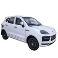 Small electric car for the elderly Luxury electric car for the elderly