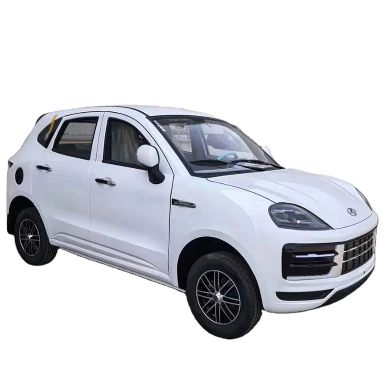 Small electric car for the elderly Luxury electric car for the elderly