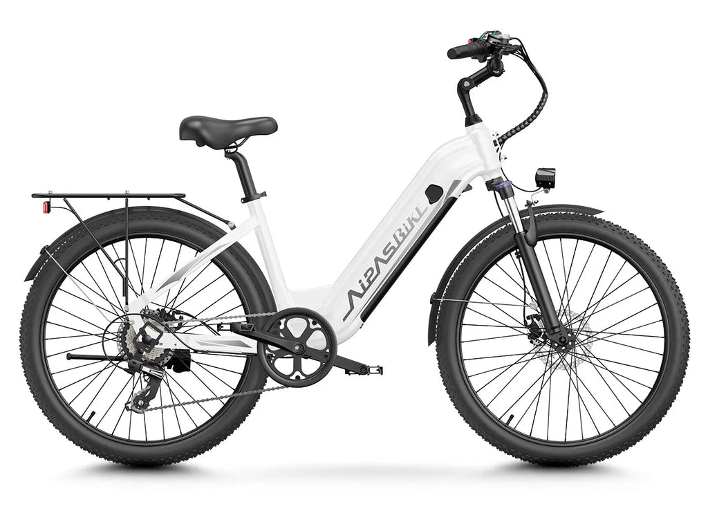 24" Fat Tire Electric Bike 48V 1100W Peak 28MPH Adult Mountain Commuter E-Bike