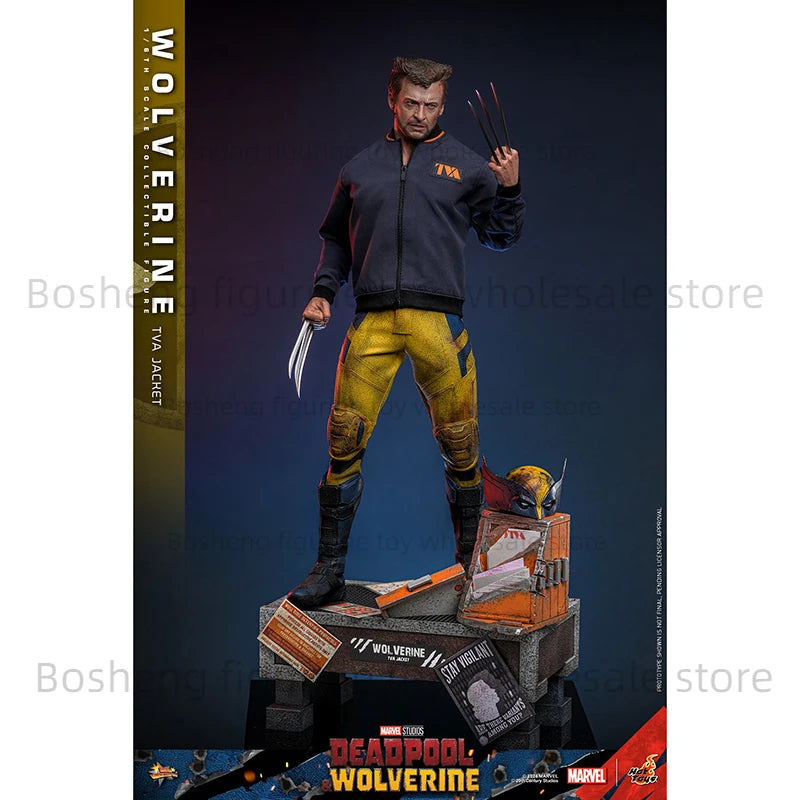 Original Hot Toys HT 1/6 MMS756 Deadpool Wolverine Wolverine TVA Jacket Version In Stock Anime Action Collection Figures Model