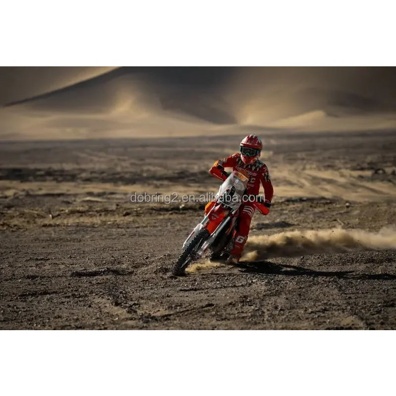 2025 Arctic Leopard E-X 800 800Nm Electric Motorcycle Powerful Mountain Bike Genre 115km/h