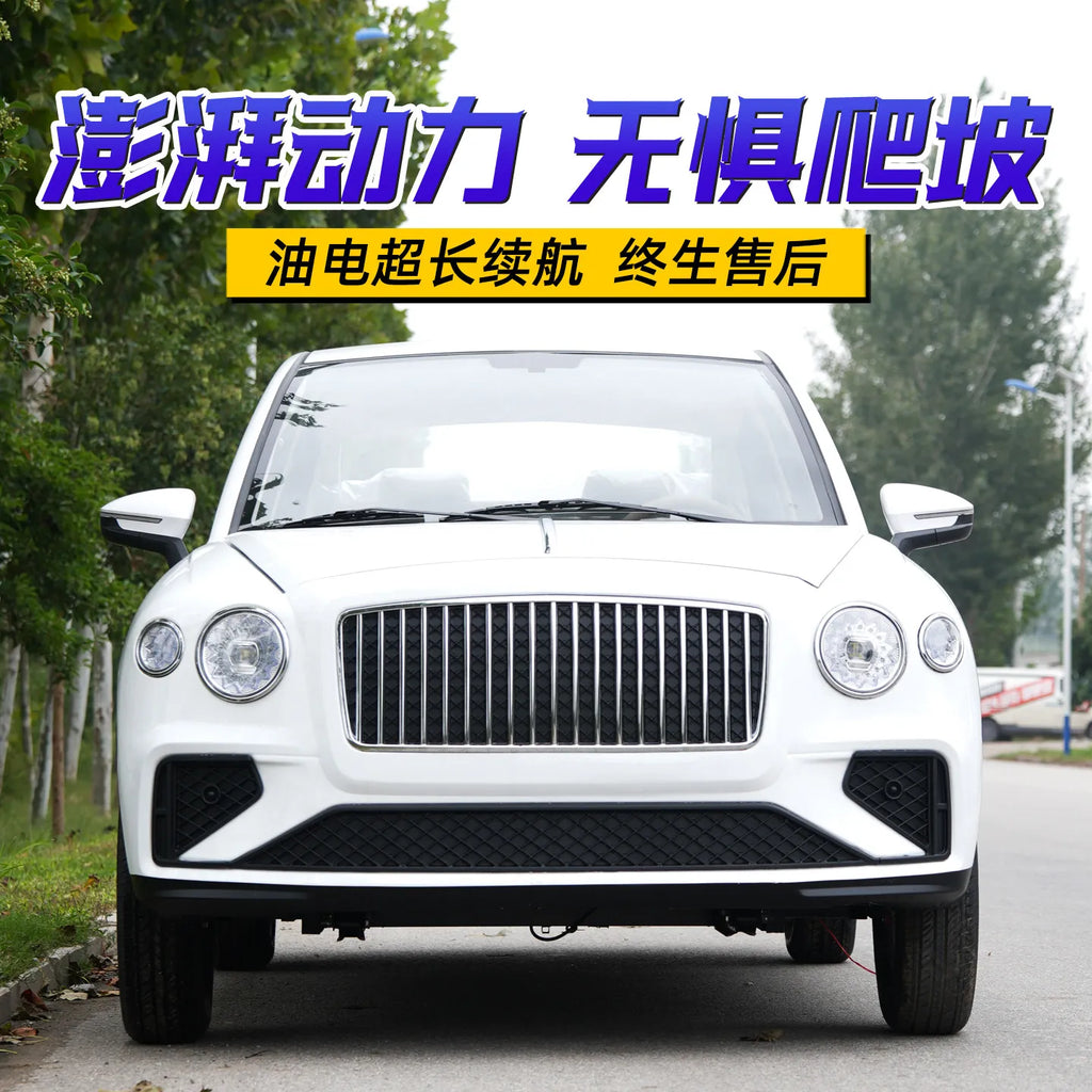Electric four-wheeled vehicles, petrol and electricity, household new energy cars, children's scooters, old man fun, 2025 new
