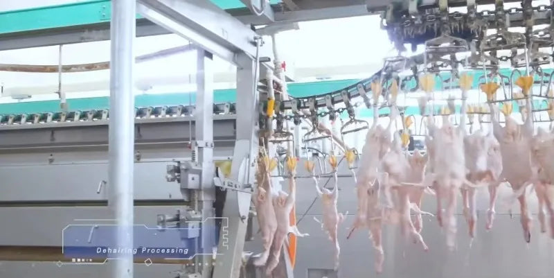 Custom 1000-2500 CE Approved Chicken Duck Poultry Slaughtering Production Line Halal Slaughter House Machine