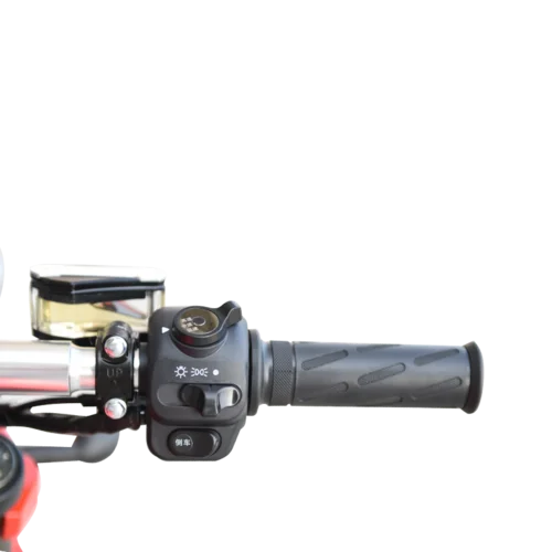 Wholesale Wuxi Electric Motorcycle 2000W 3000W Lithium battery High Speed Adult Mid-mounted motor Electric Moto Bike