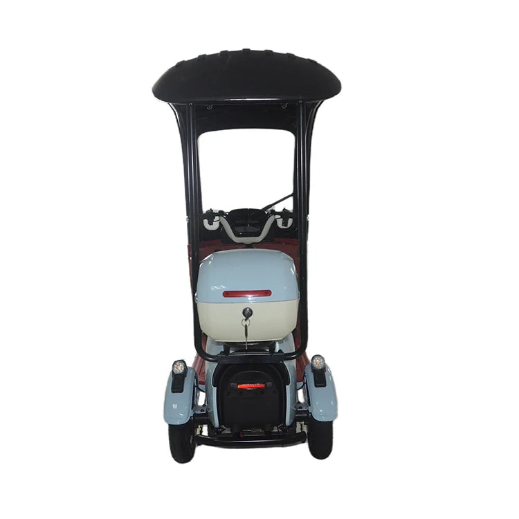High Quality 2024 Hot Selling Electric Tricycle Scooter Electric Bike High Power Lady Electric Scooter with Roof