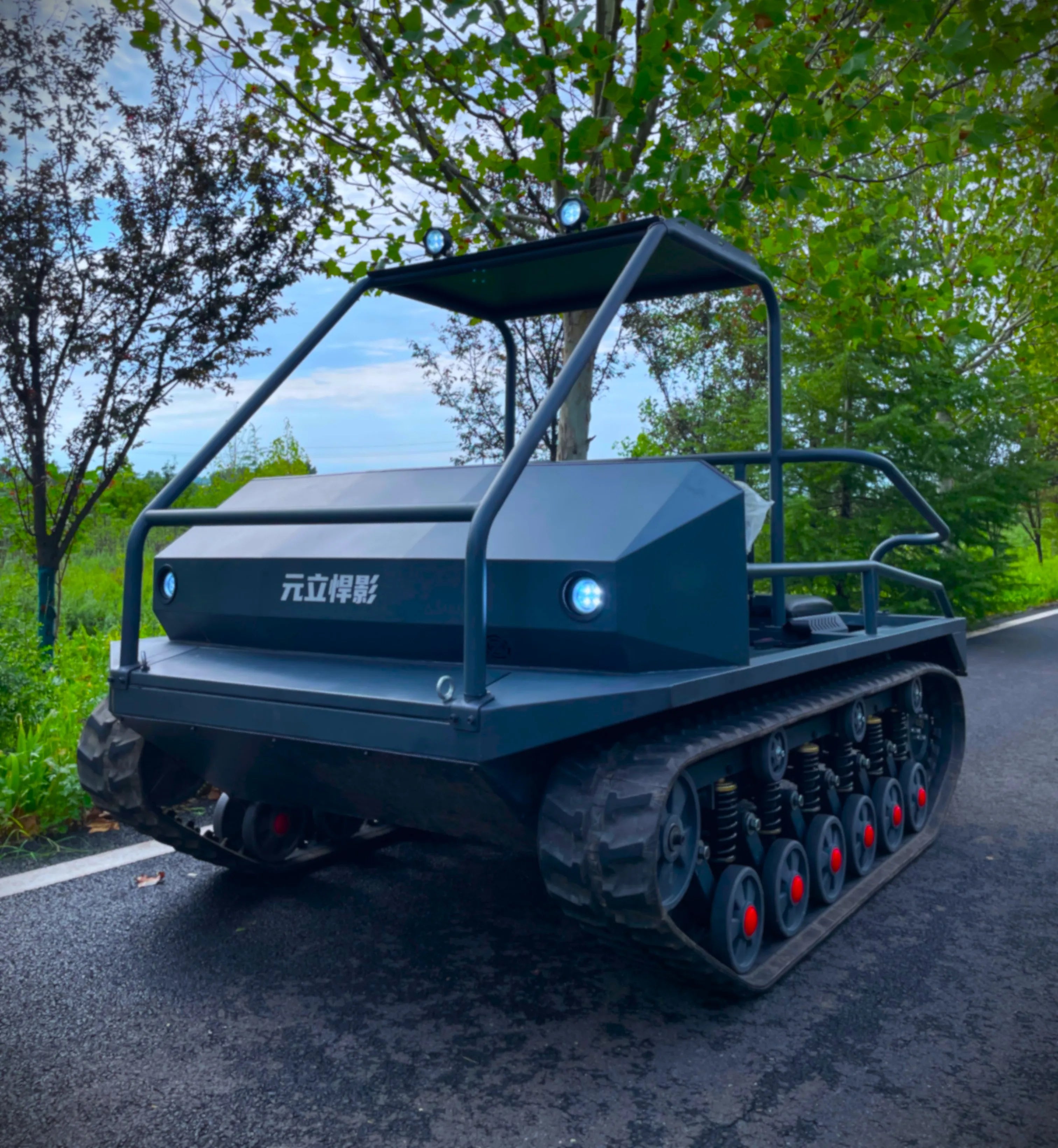 Remote Control tank All Terrain Electric Atv Rubber Tracked Dump Vehicle Snow Fast off Road 4 Seater for Field Transportation