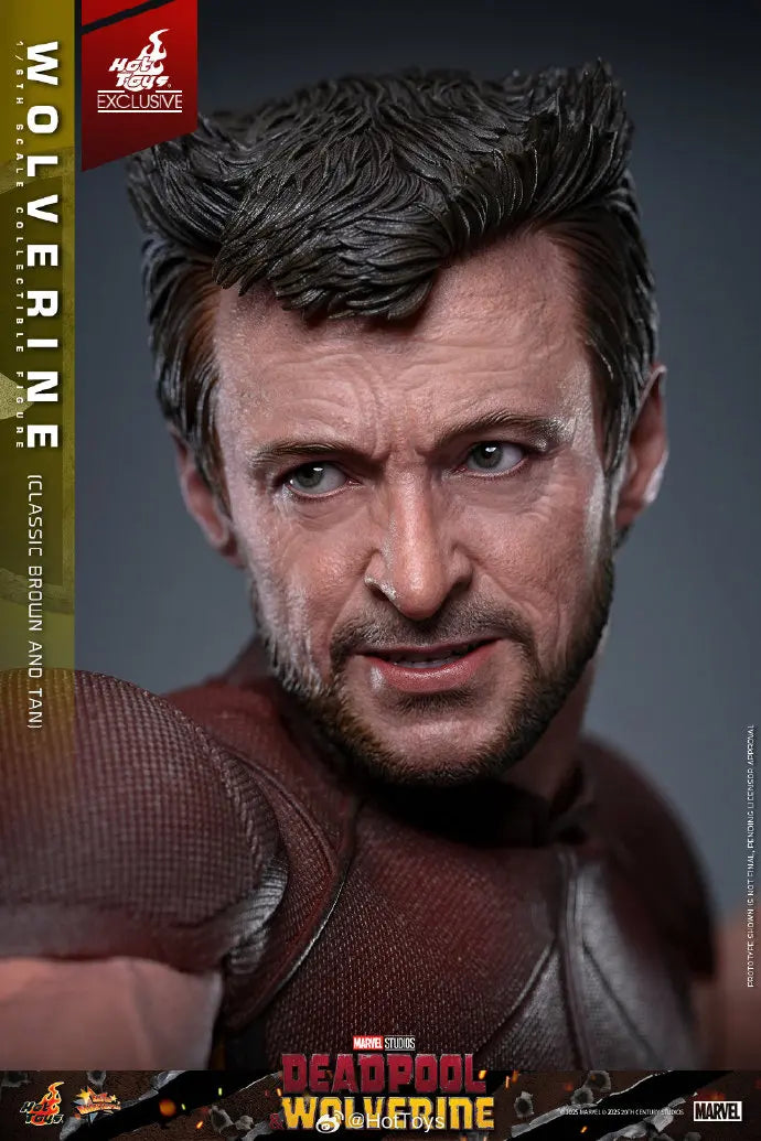 In Stock HotToys MMS831 Wolverine Classic Brown and Tan 1/6 Soldier Figure Animation Action Figure Toy Gift Model Collection