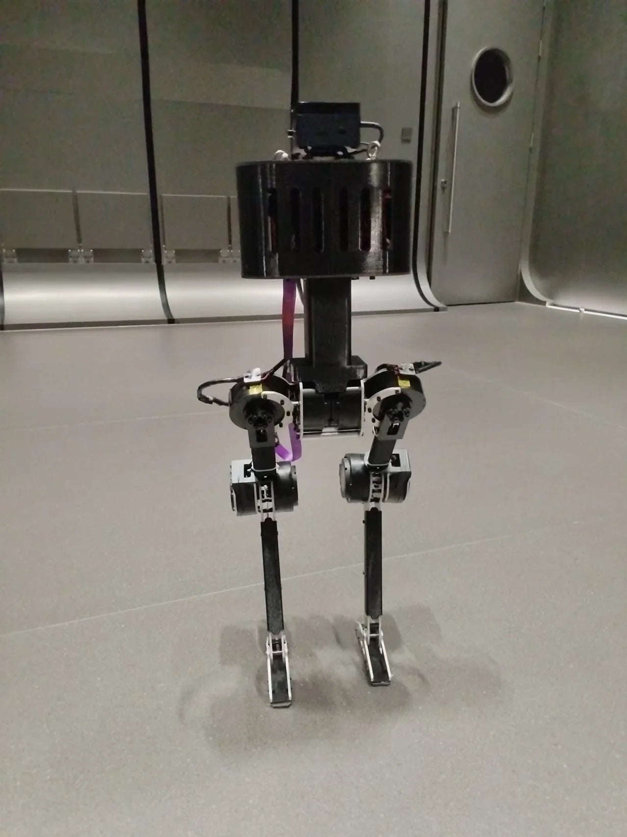 Biped humanoid robot AI intelligent machine human robot dog reinforcement learning training embodied intelligent millet motor