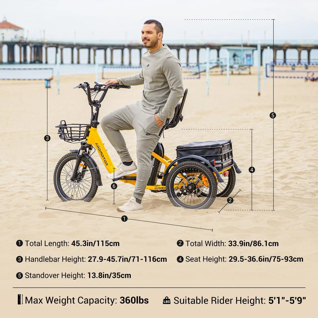 -310 Folding 3Wheel E-bike Electric Trike 750W 20Ah 90MI Adult