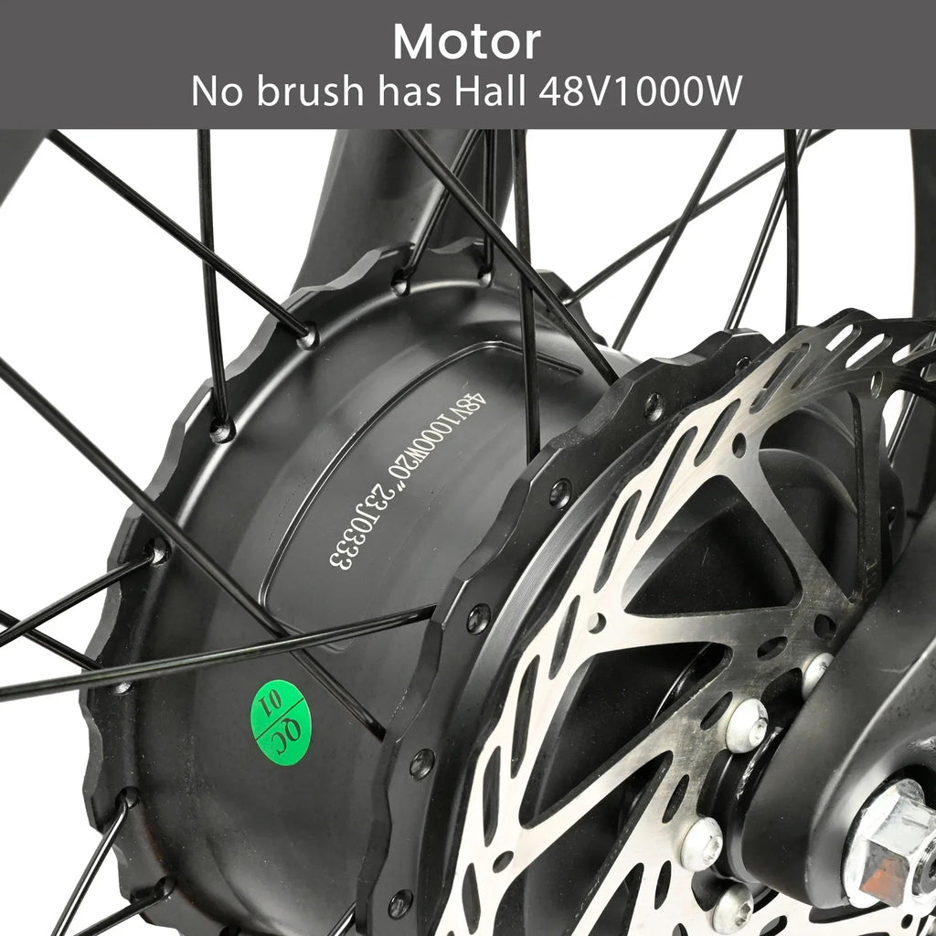 Baolujie DP2033 Electric Bicycle 2000W Dual Motor 48V30AH Lithium Battery E-bike 20*4 Inch Fat Tire Mountain Cargo Electric Bike