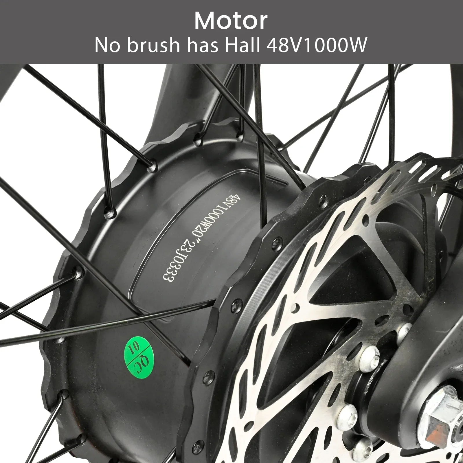 Baolujie DP2033 Electric Bicycle 2000W Dual Motor 48V30AH Lithium Battery E-bike 20*4 Inch Fat Tire Mountain Cargo Electric Bike