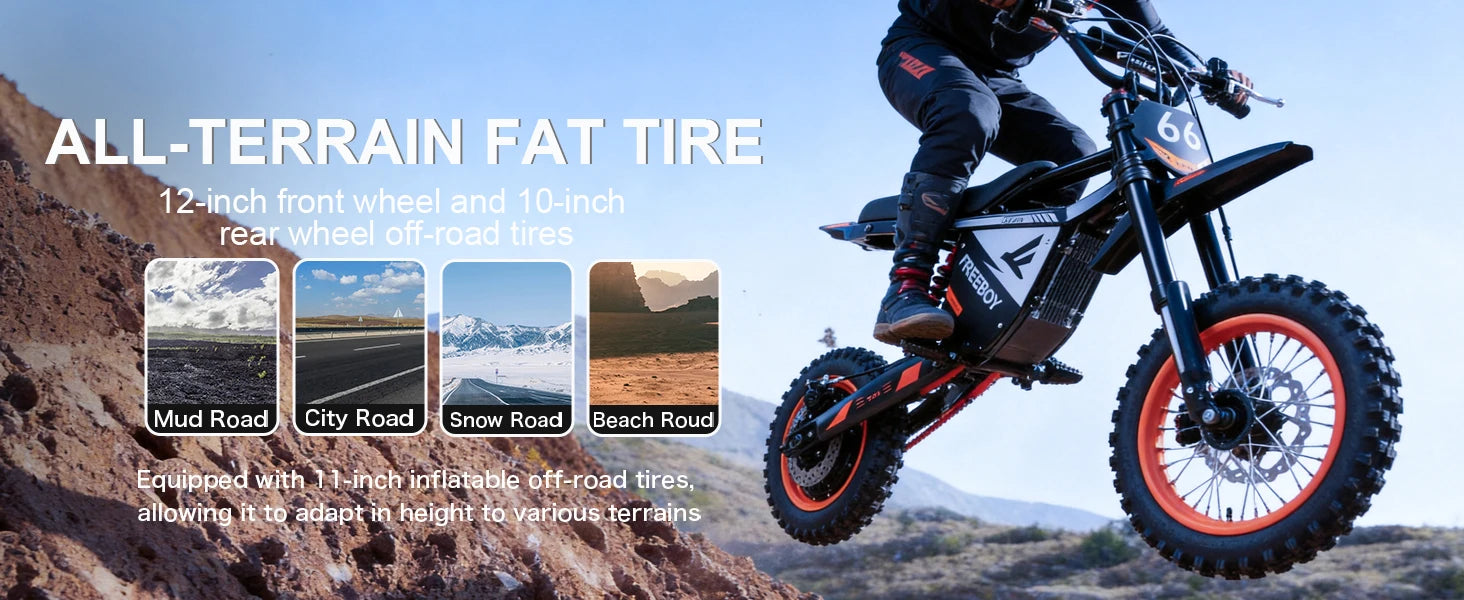 FREEBOY Y66 E-bike 3000W Motor 48V30AH Battery Electric Bike Max Speed: 55KM/H 12/10-In All-terrain Fat Tires Electric Bicycle